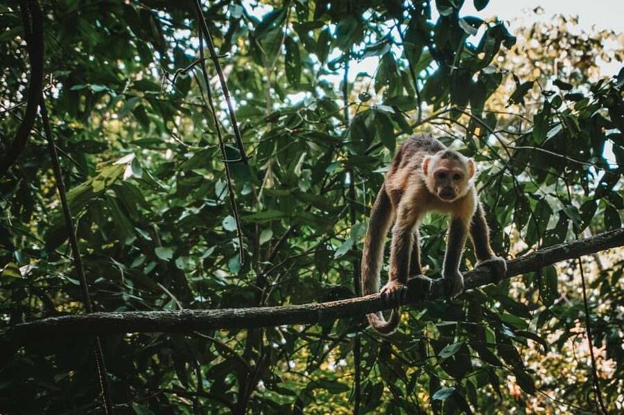 Tayrona Park & Cabo San Juan - Who should book this Tayrona trip