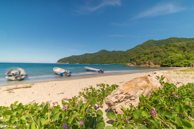 Tayrona Park Hike Tour to Cabo San Juan: Private or Shared - Guides can make the forest come alive