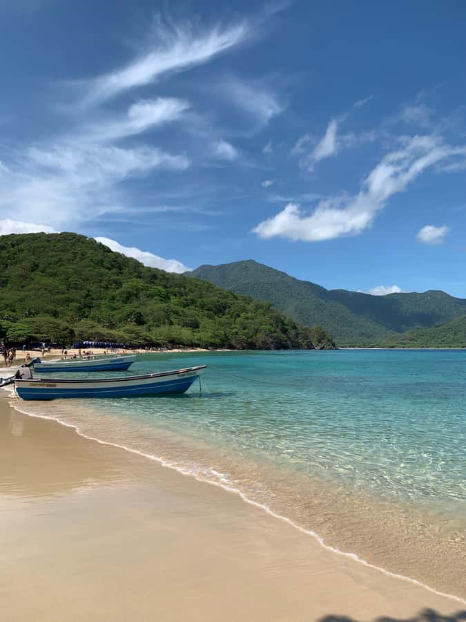 Tayrona Park & Playa Cristal - Key points to know before booking