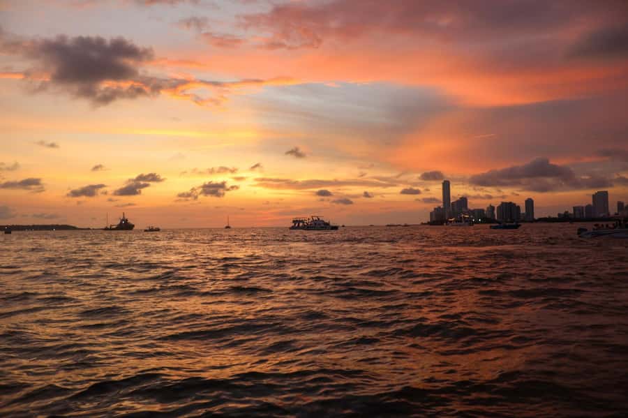 The best sunset tour in the bay: Open bar party & fun - Key points to know before you book