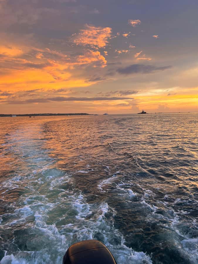 The best sunset tour in the bay: Open bar party & fun - What the $39 price really covers