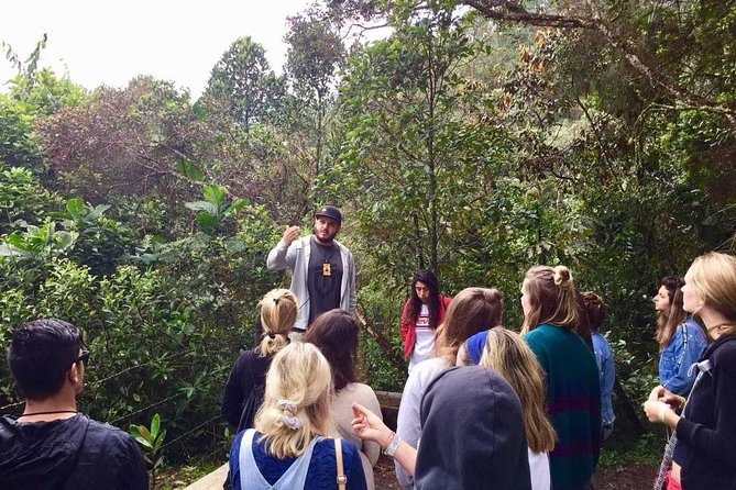 The "not polite to use his name" City Tour - Practical details that affect your day