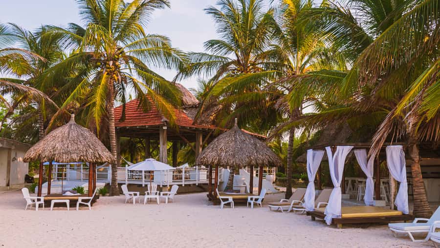 Tierra Bomba Island: A day at Marine Beach Club - Choosing Between the Timon and Marine Plans