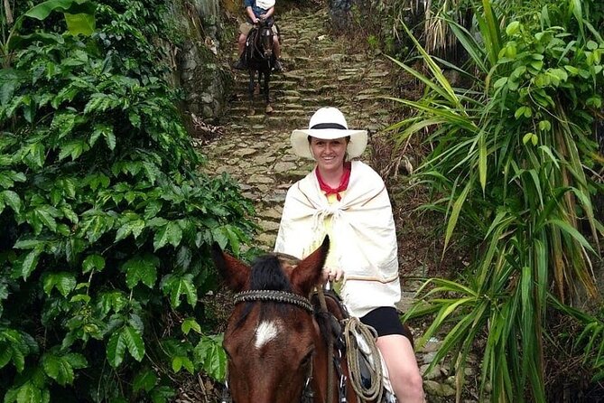 Tour Cabalgata - Gentle horses and a route matched to your ability