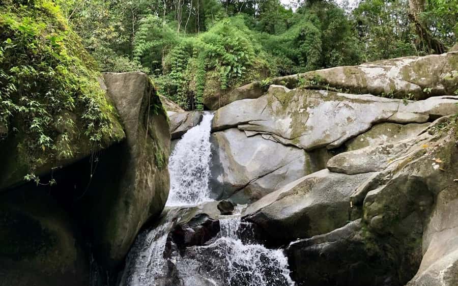 Trekking History and Indigenous Heritage in Minca + Cacao & Coffee + Waterfall - Key points to know before you book