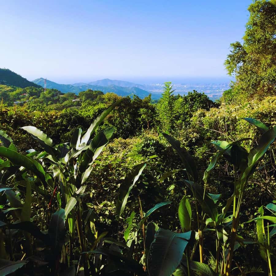 Trekking History and Indigenous Heritage in Minca + Cacao & Coffee + Waterfall - Cooling off at a natural waterfall