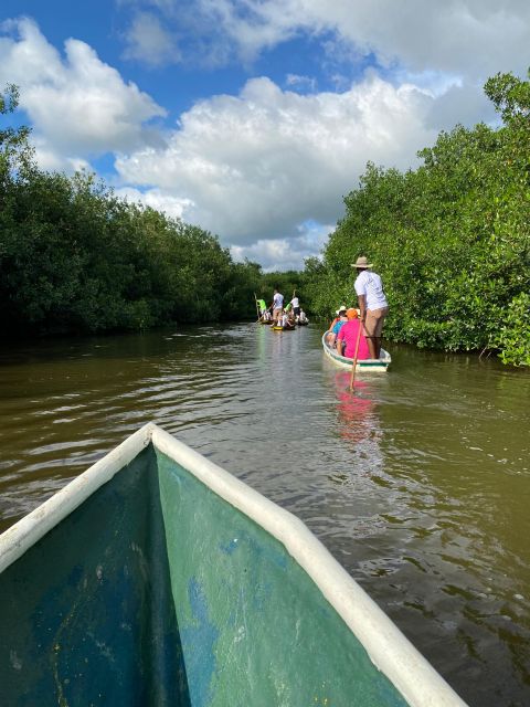 Typical lunch on beach, mangrove tour & fishing with natives - Timing, group comfort, and practical concerns