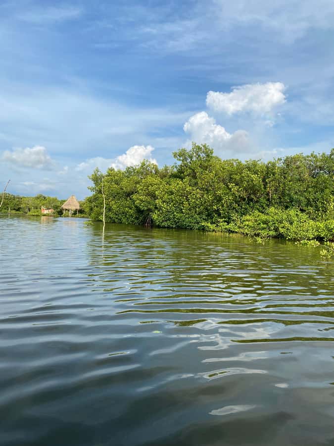 Typical lunch on beach, mangrove tour & fishing with natives - Beach time after the meal