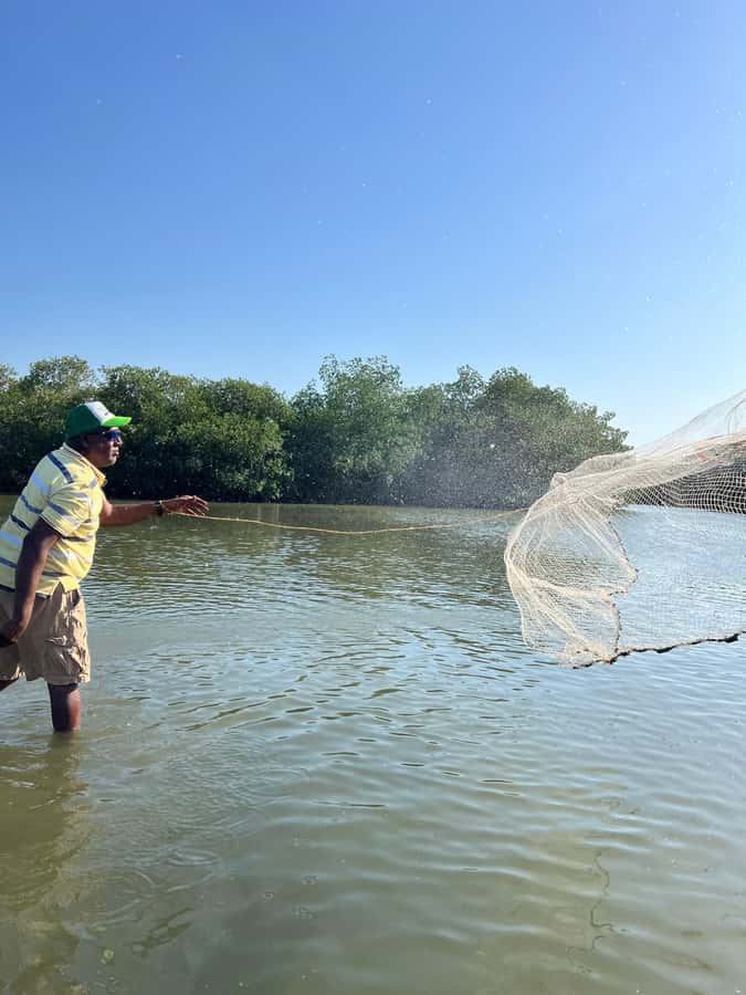 Typical lunch on beach, mangrove tour & fishing with natives - What the $84 price includes