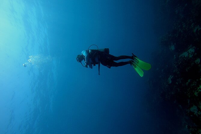 Under a sea of adventures, unforgettable diving. - Key points to know before booking