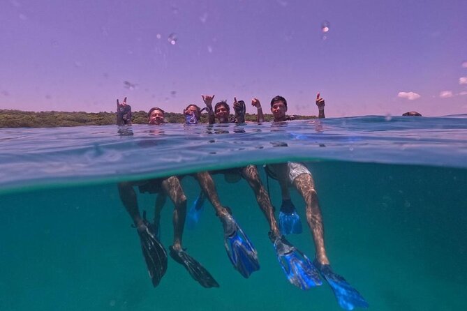Under a sea of adventures, unforgettable diving. - From Muelle de la Bodeguita to the open water