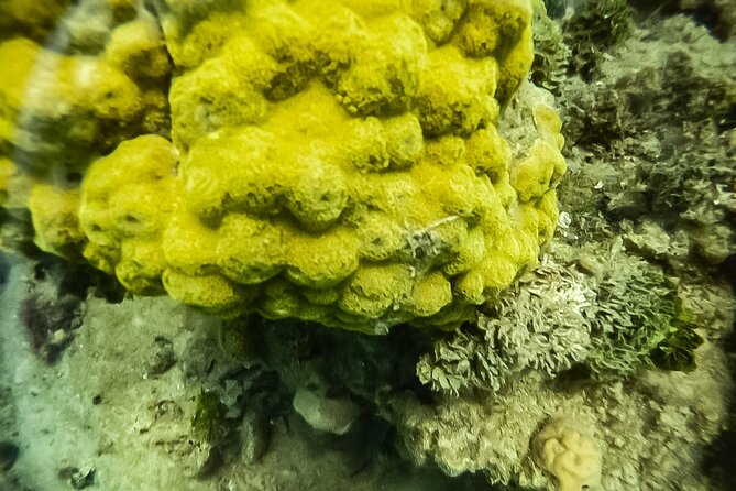 Under a sea of adventures, unforgettable diving. - What the underwater session feels like