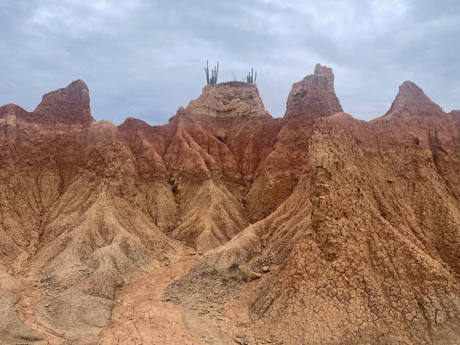 Villavieja: Tatacoa Desert Horseback Riding Tour - Should you book the Tatacoa horseback ride?