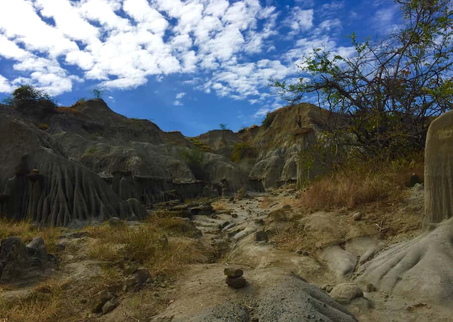 Villavieja: Tatacoa Desert Horseback Riding Tour - The fossil site and Tatacoa’s prehistoric past