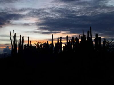 Villavieja: Tatacoa Desert Horseback Riding Tour