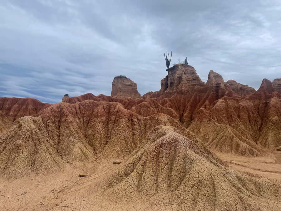 Villavieja: Tatacoa Desert Horseback Riding Tour - Is $86 a fair price?