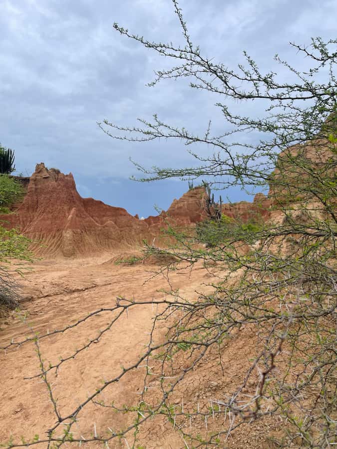 Villavieja: Tatacoa Desert Horseback Riding Tour - Heat, comfort, and riding ability