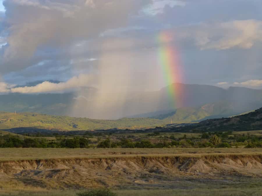 Villavieja: Tatacoa Desert Horseback Riding Tour - Returning to Villavieja after the ride