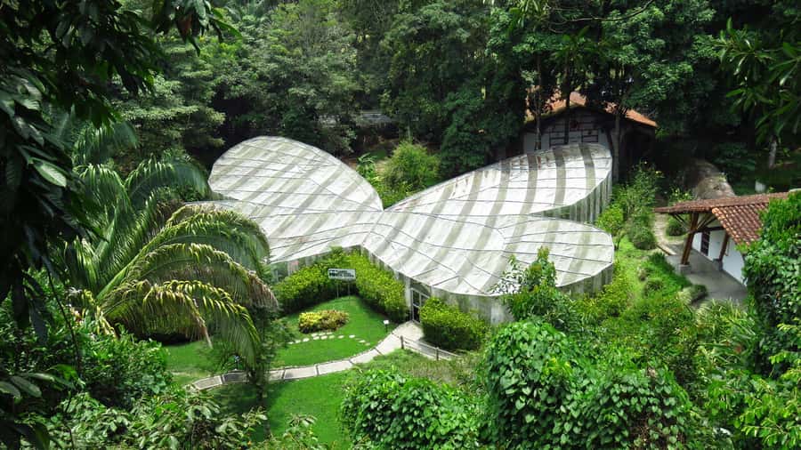 Walking tour José Celestino Mutis Botanical Garden 3 hrs - Entering Bogotá’s Botanical Garden