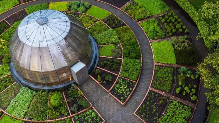 Walking tour José Celestino Mutis Botanical Garden 3 hrs - A Two-Hour Guided Walk Inside a Three-Hour Visit