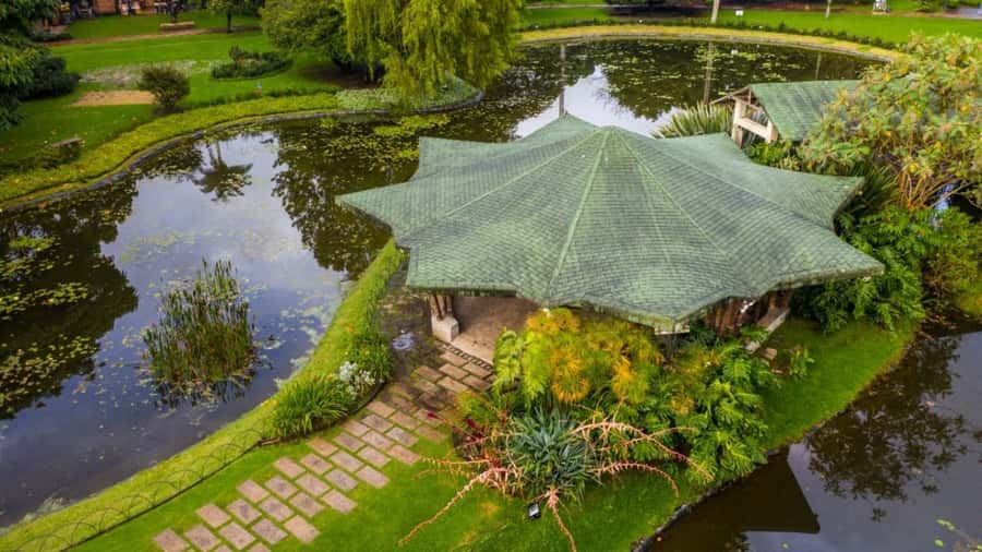 Walking tour José Celestino Mutis Botanical Garden 3 hrs - From Pretty Plants to Conservation Work