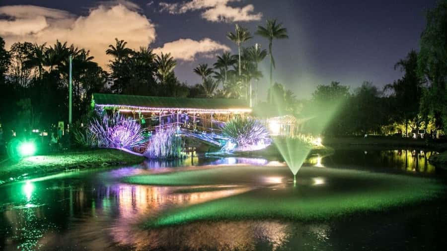Walking tour José Celestino Mutis Botanical Garden 3 hrs - The 5,000-Orchid Collection